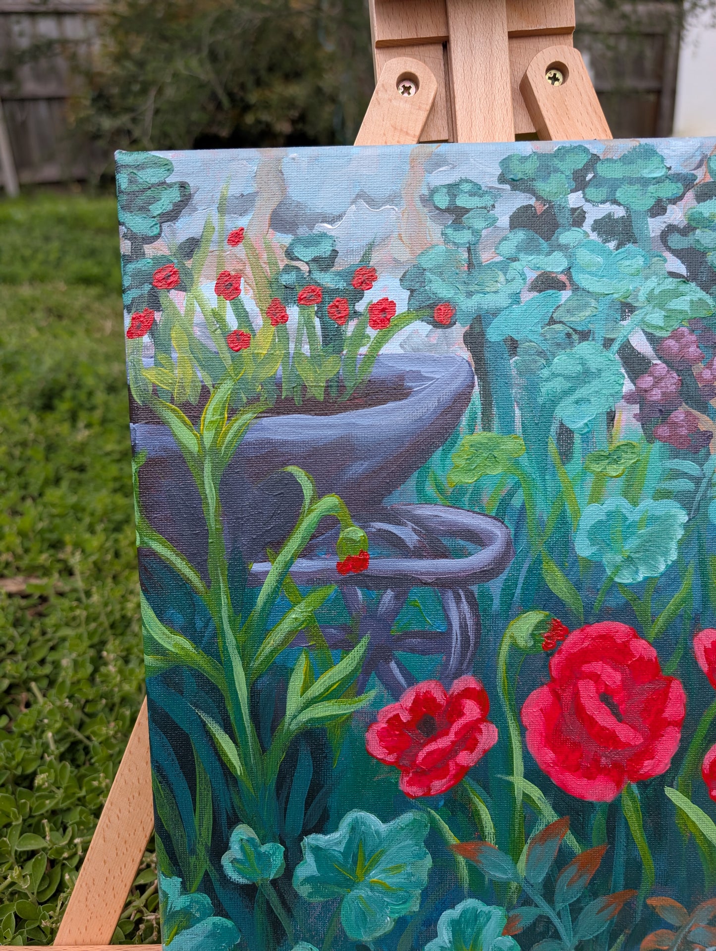 Poppies in a garden