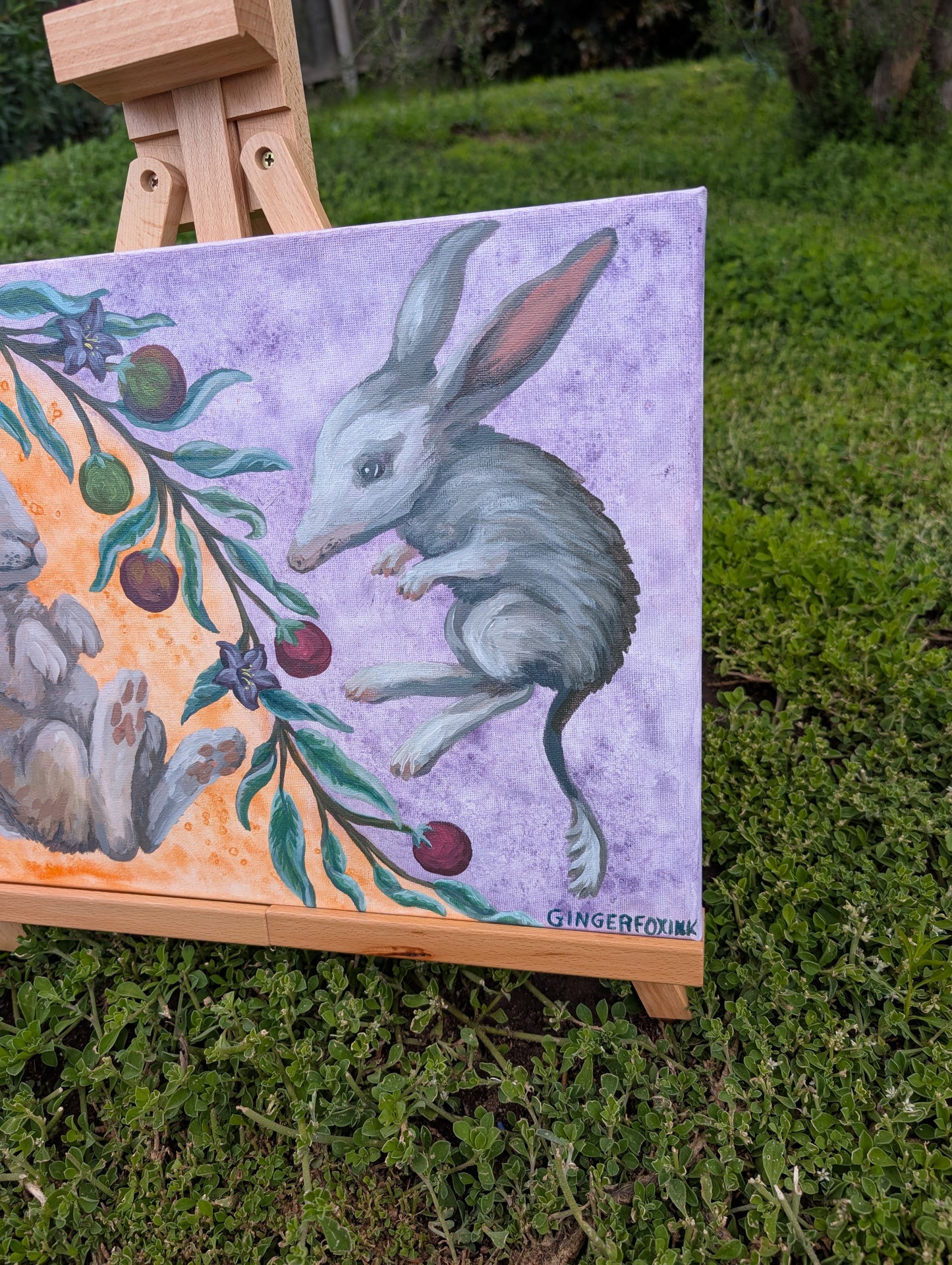 Bilby, Rabbit and Desert Raisin