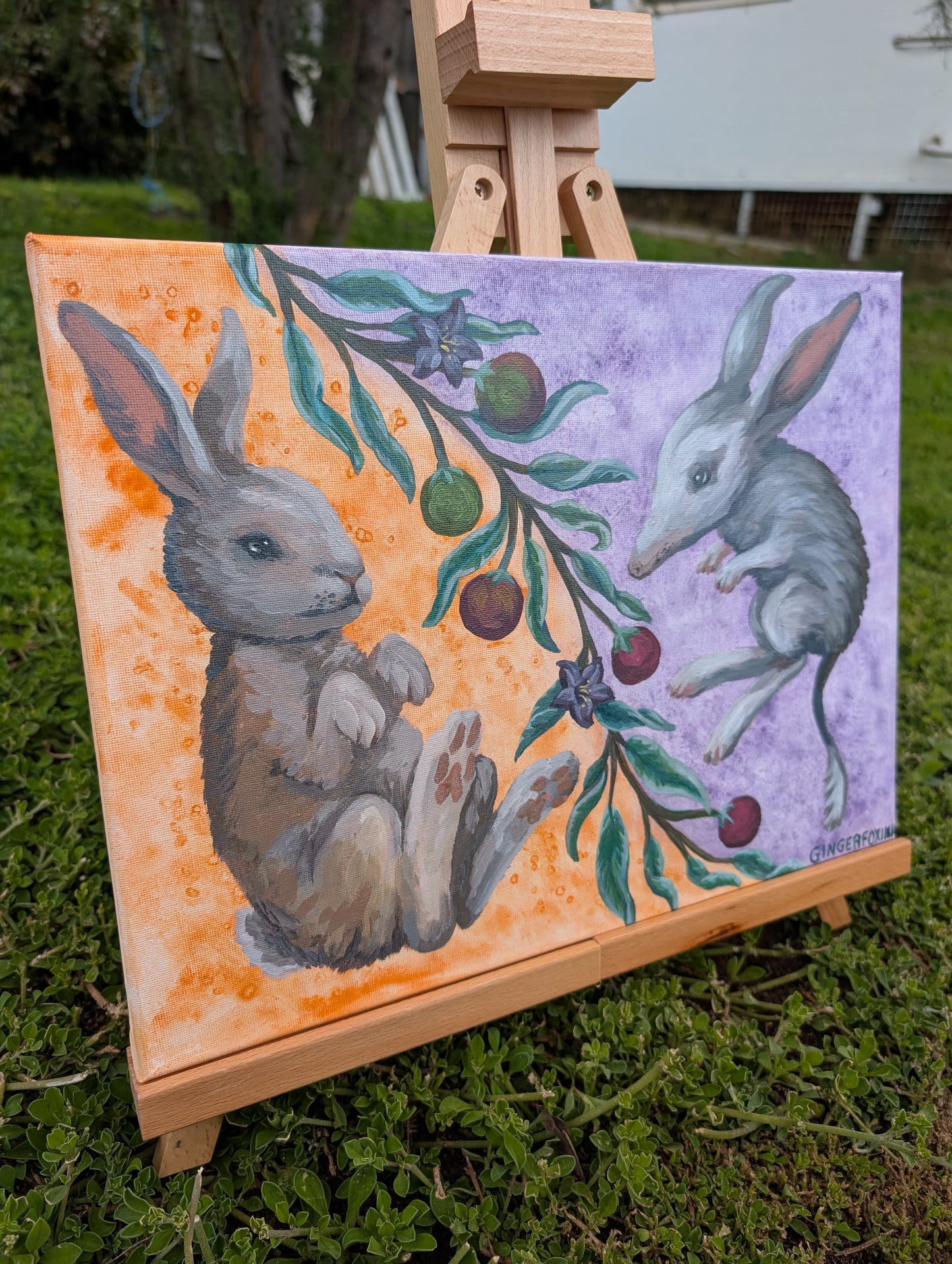 Bilby, Rabbit and Desert Raisin