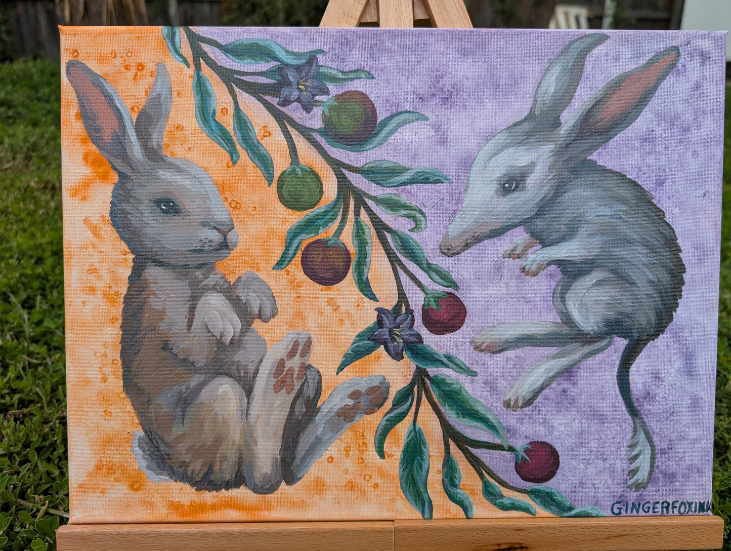 Bilby, Rabbit and Desert Raisin