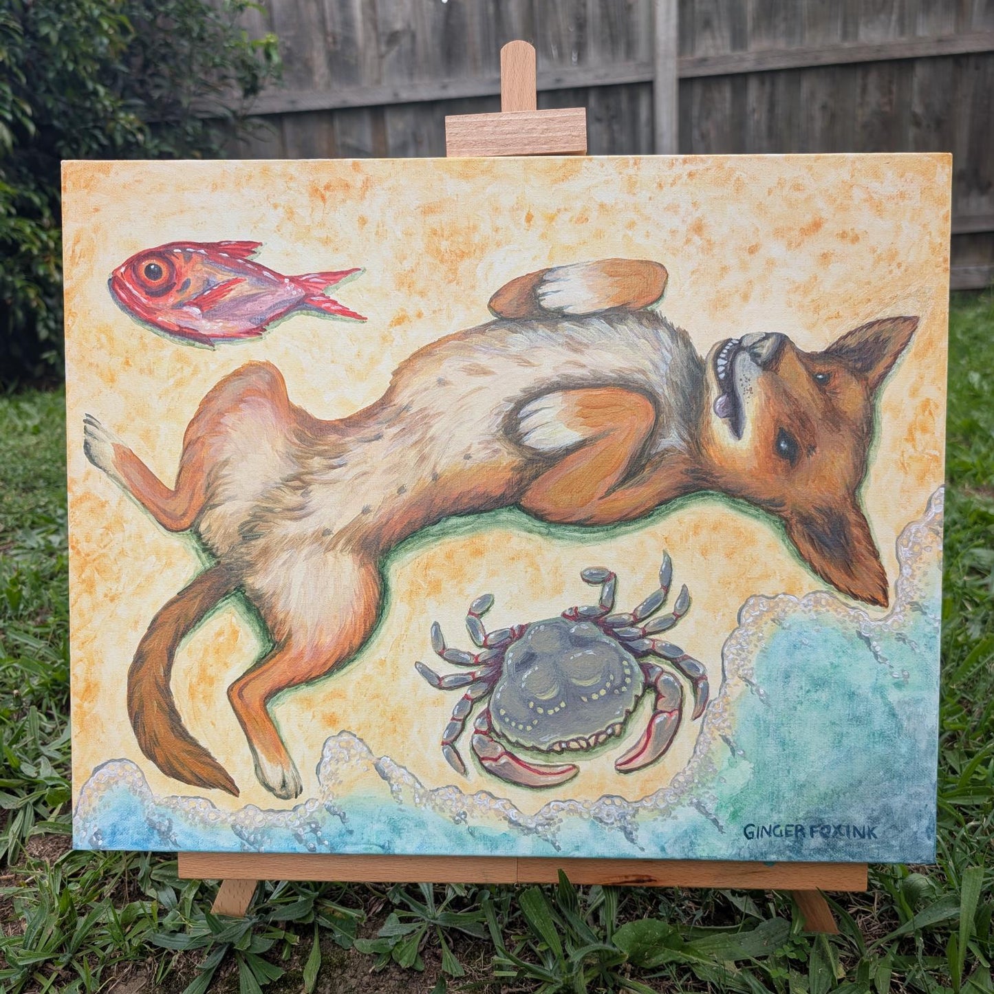 Dingo, Blue Swimmer Crab and Flame Tail Snapper