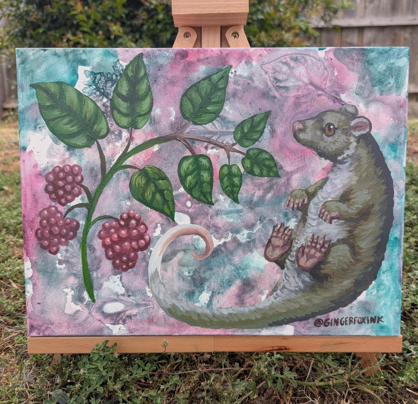 Green Ringtail Possum and Gympie Gympie