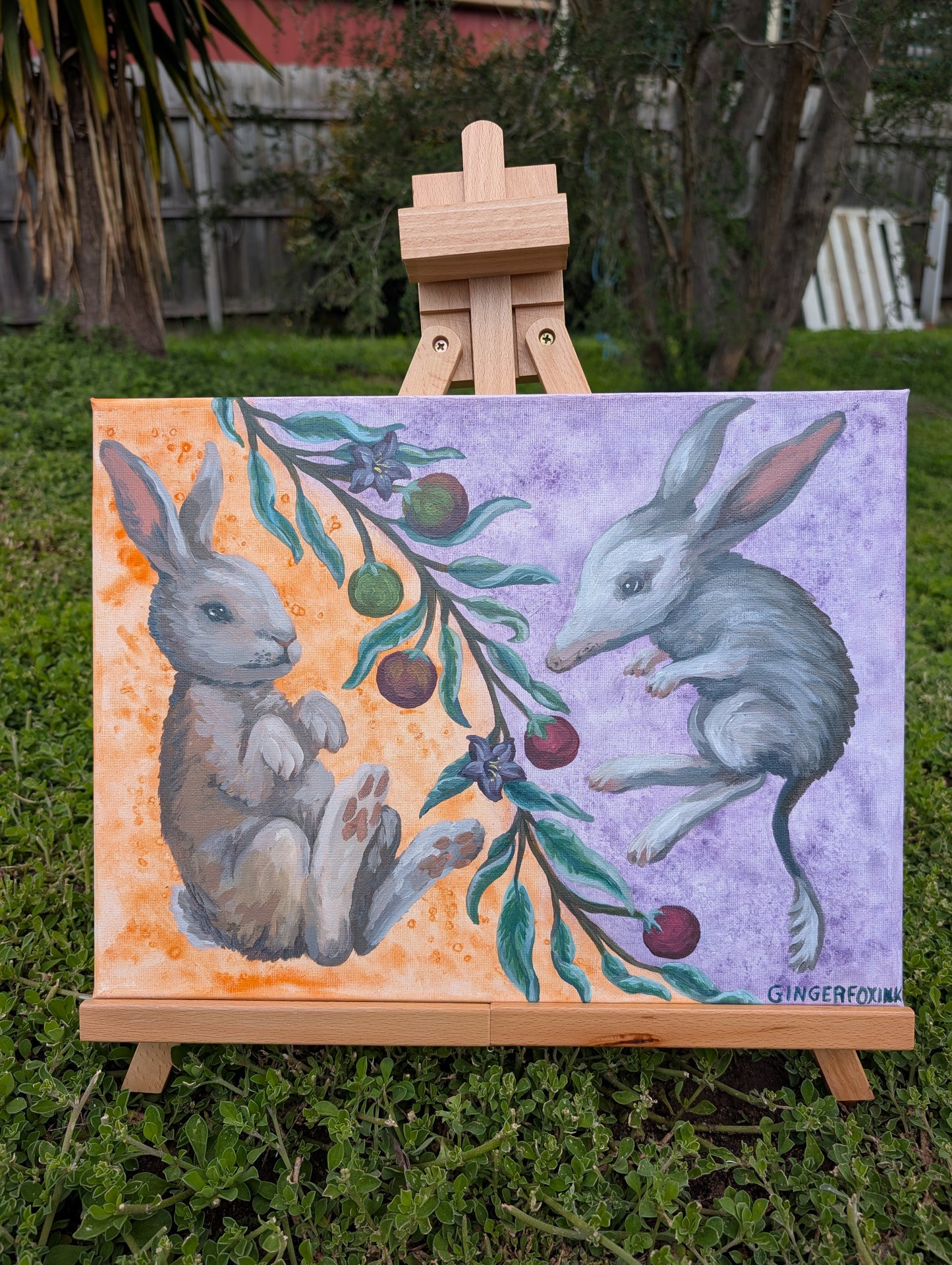 Bilby, Rabbit and Desert Raisin