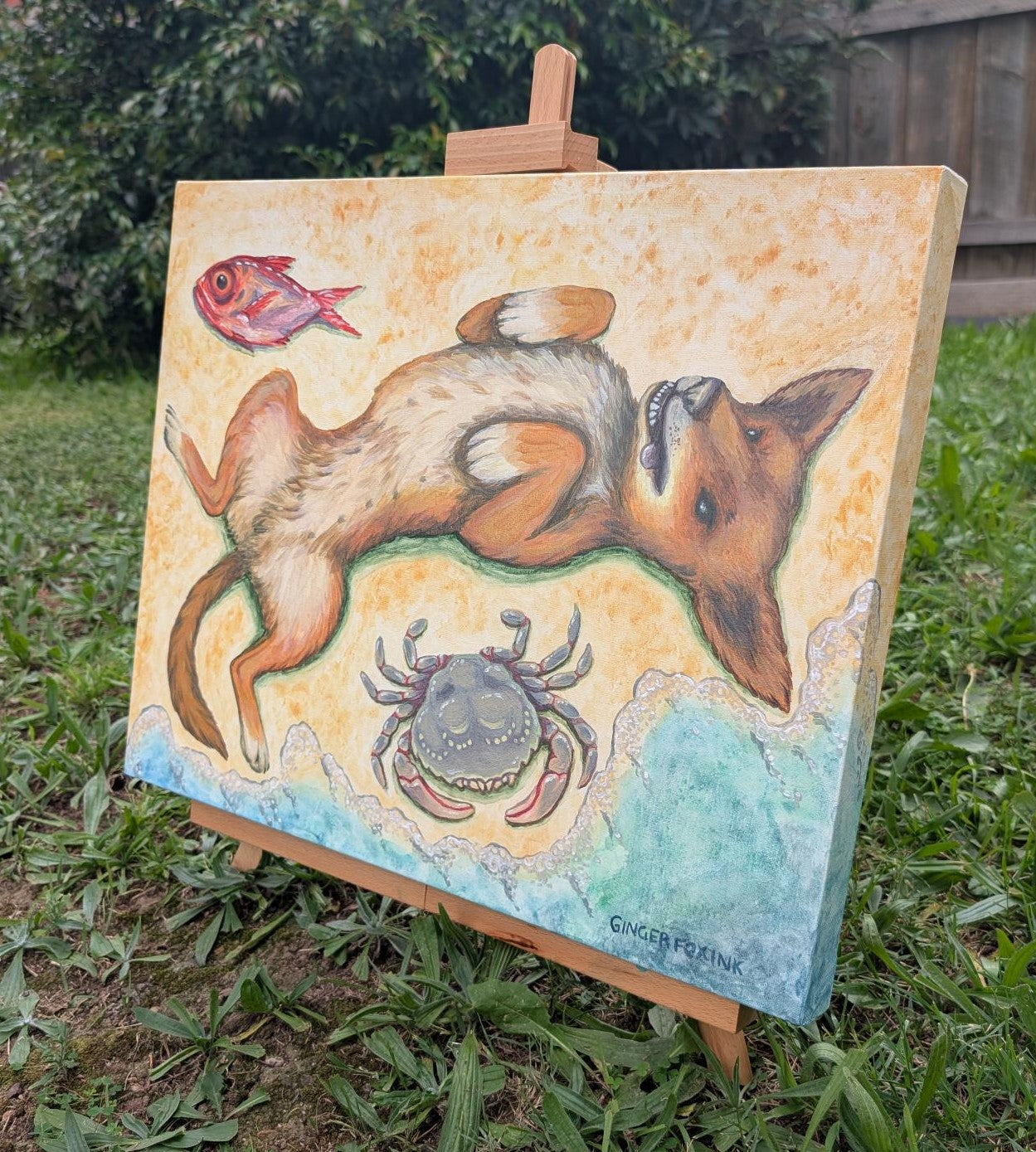 Dingo, Blue Swimmer Crab and Flame Tail Snapper