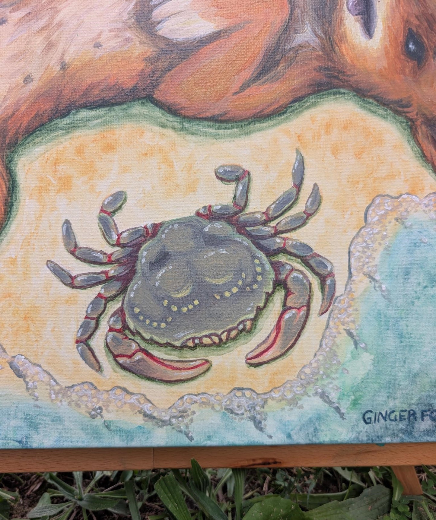 Dingo, Blue Swimmer Crab and Flame Tail Snapper