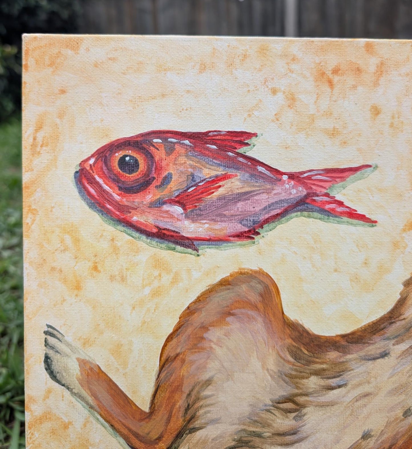 Dingo, Blue Swimmer Crab and Flame Tail Snapper
