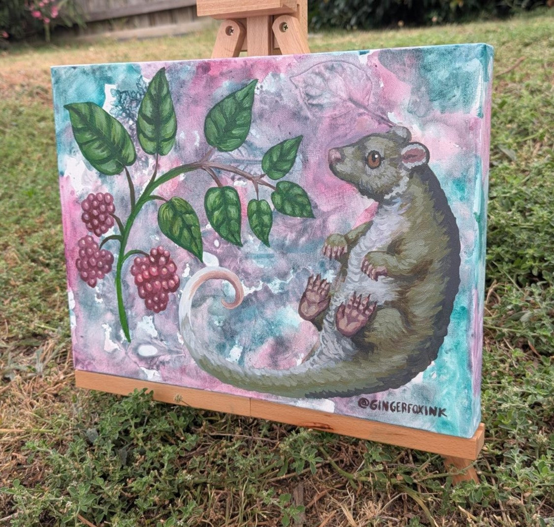 Green Ringtail Possum and Gympie Gympie